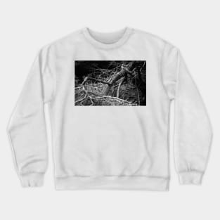 Twisted Tree. Lincoln Park, San Francisco 2012 Crewneck Sweatshirt